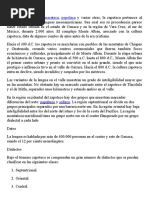 Lengua Zapoteca.docx
