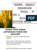 Sistem Imun