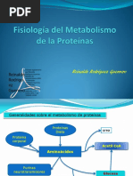 Isiologia Del Metabolismo de La Proteinas PDF