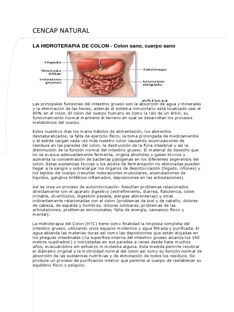 Informacion de Hidrocolonterapia.1 | PDF | Intestino grueso | Heces