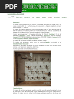 insetos.pdf