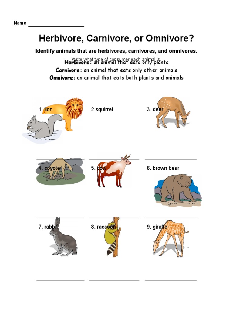 Quiz On Herbivore Carnivore Omnivore Herbivore Organisms