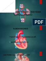 Componentes Del Sistema Circulatorio