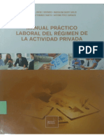 Manual Práctico Laboral Del Régimen de La Actividad Privada PDF