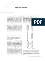 Lab Proteinas