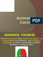 Asimetría Cerebral