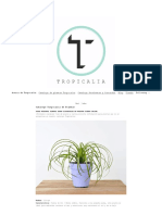 Catalogo Tropicalia de Plantas - Tropicalia Estudio.pdf