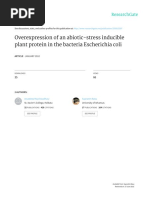 Overexpression of An Abiotic-Stress Inducible Plant Protein in The Bacteria Escherichia Coli