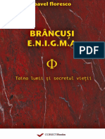 (Preview) Brancusi Enigma