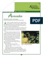 Vocados: Texas Fruit and Nut Production