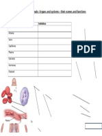 Human and Animals: Organs and Systems - Their Names and Functions