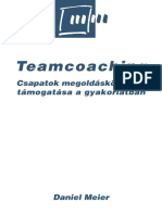 Daniel Meier - Teamcoaching PDF