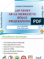 GAP-YENEV Merkezi.pdf