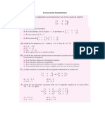 EVALUACION DIAGNOSTICA