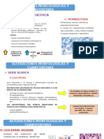 Diapos de Serie Megacariocitica y Blanca (Ultimo Punto)