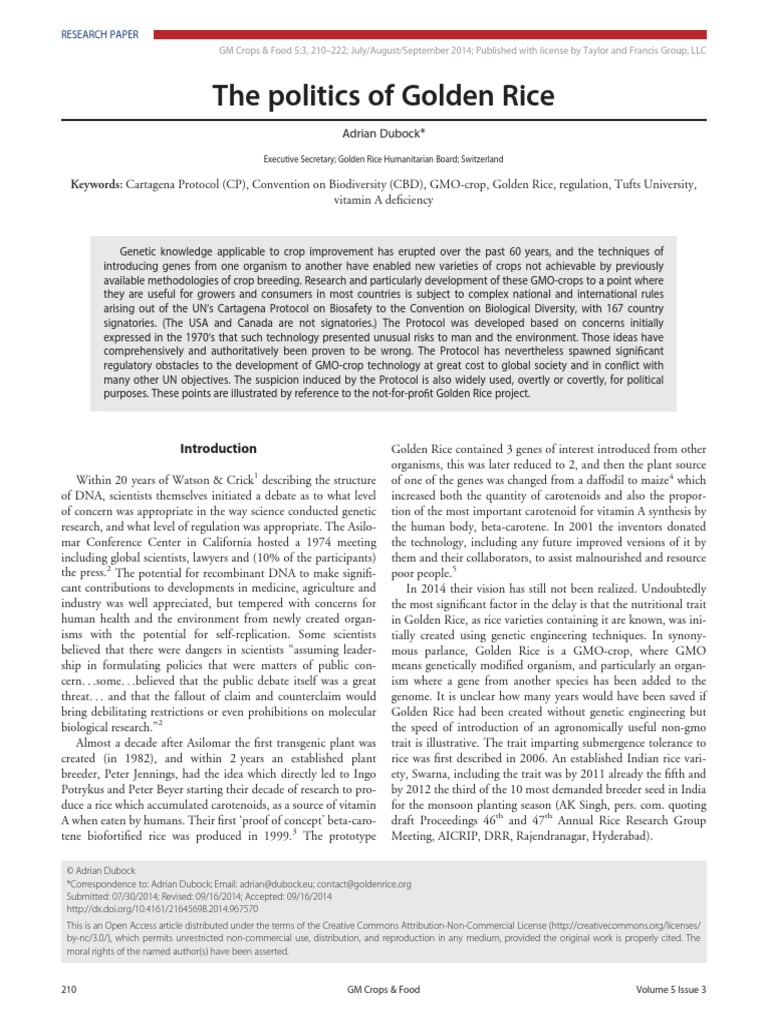 The politics of golden rice summary image