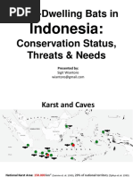 Seabcru Cave Bats Indonesia Country Summary