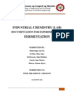 Industrial Chemistry (Lab) Fermentation: Documentation For Experiment No. 2