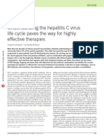 Hepatitis C Life Cycle - Paper 1 PDF