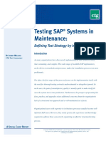Testing SAP in a Maintenance Situation