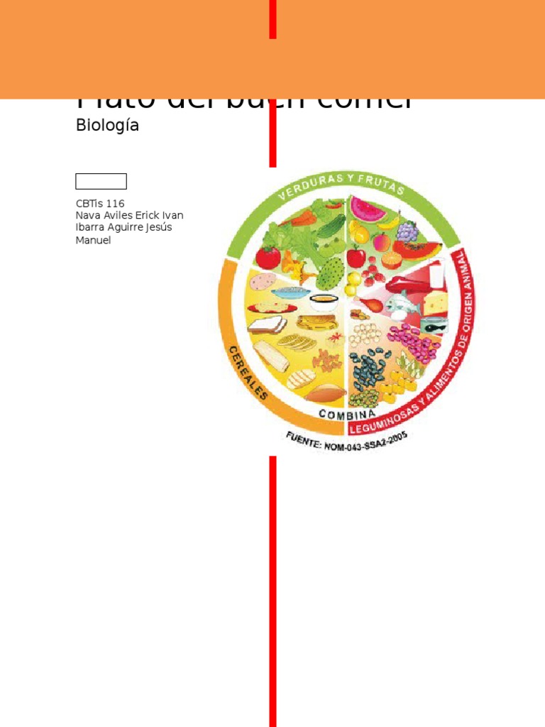 Plato Del Buen Comer Cereales Alimentos