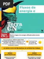 Ciclos de matéria (6).ppt