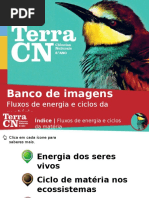 Ciclos de matéria (6).ppt