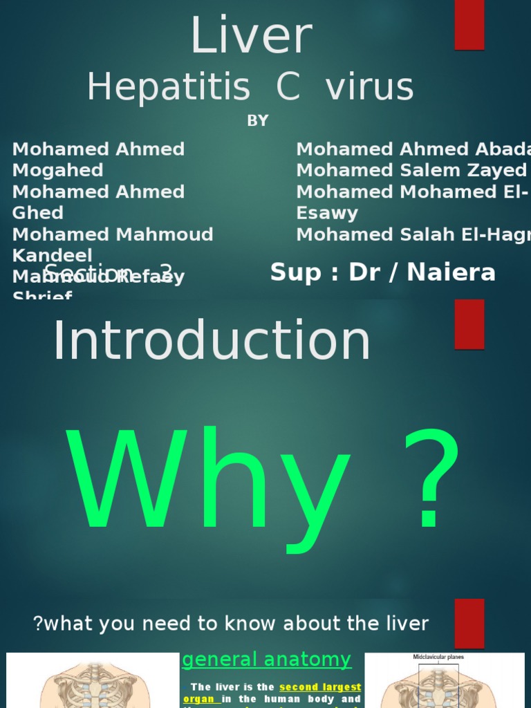 Hepatitis C Virus Section 3 Pdf Hepatitis C Hepatitis