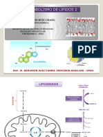 Metabolismo de Lipidos 2