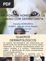 Abordagem Homeopática de Canino Com Dermatopatia