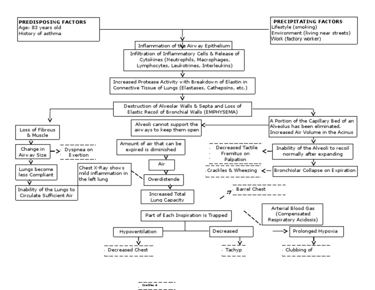 Precipitating Factors Predisposing Factors: Work (Factory Worker) | PDF