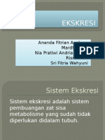 Kelompok 3 Sistem Ekskresi XI IPA 4