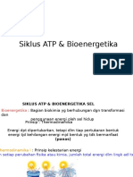 Siklus ATP & Bioenergetika 2015 PAK ALI R.
