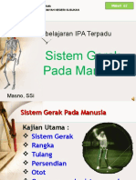 Sistem Gerak Manusia