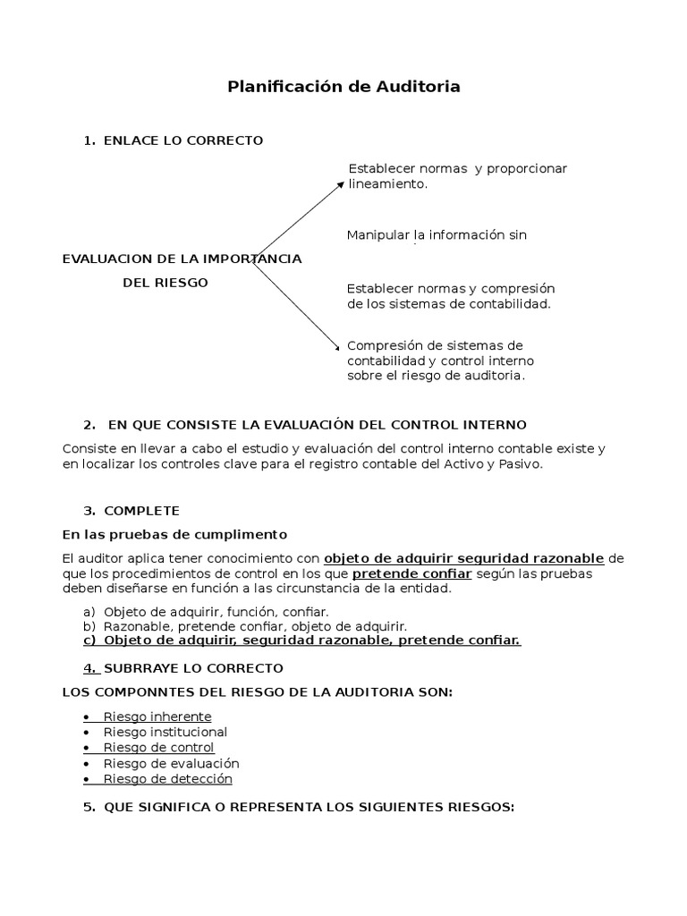 Planificación de Auditoria JNKJ | PDF | Auditoría | Contralor