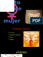 Anatomia Femenina