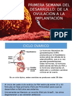 Primera Semana