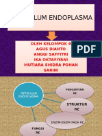 Retikulum Endoplasma