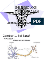 Anatomi Fisiologi Persarafan 2 - Copy