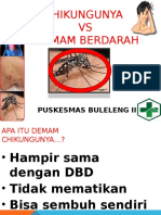 DB Vs Chikungunya
