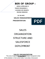 Sales organization structure and deployment