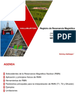 Resonancia Magnetica Nuclear 2016 PDF