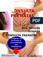 Consultaprenataldra 130729163750 Phpapp02