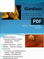 Giardiasis Richard