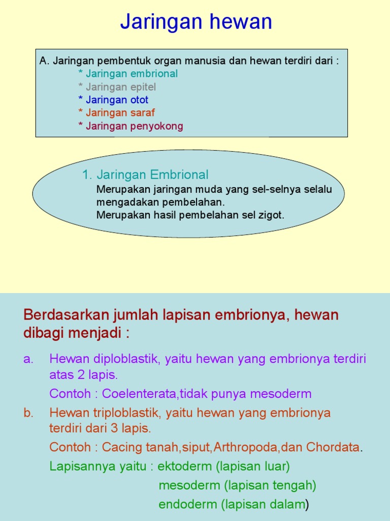 99 Gambar Jaringan Hewan Lengkap HD Terbaik