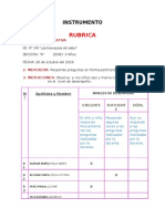 Instrumento Rubrica II