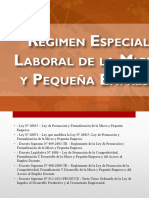 REGIME ESPECIAL DEL RÉGIMEN ESPECIAL DE LAS MICRO Y PEQUEÑAS EMPRESAS.pptx