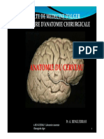 Medecine-Anatomie Du Cerveau PDF