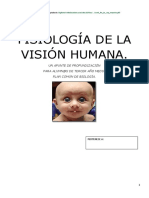 Fisiologia Vision Humana 3m 2015