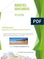 Ambientes Sedimentarios Playas